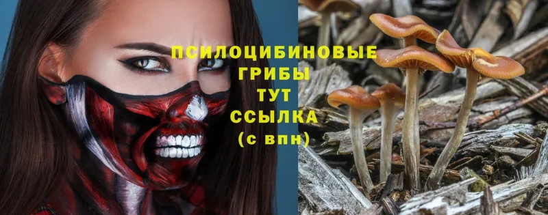 Псилоцибиновые грибы MAGIC MUSHROOMS  сайты даркнета официальный сайт  Дмитриев 